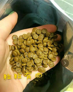 🐱Toptrees领先成猫全价猫粮！铲