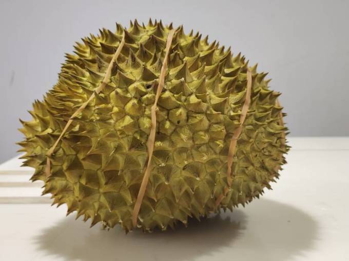 京觅榴莲怎么样这几天要实现榴莲自由 到货一箱16公斤 什么值得买