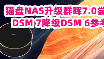 爽玩垃圾3：给猫盘NAS升级群晖DSM 7.0系统，有哪些新变化+黑/白群降级DSM 6参考