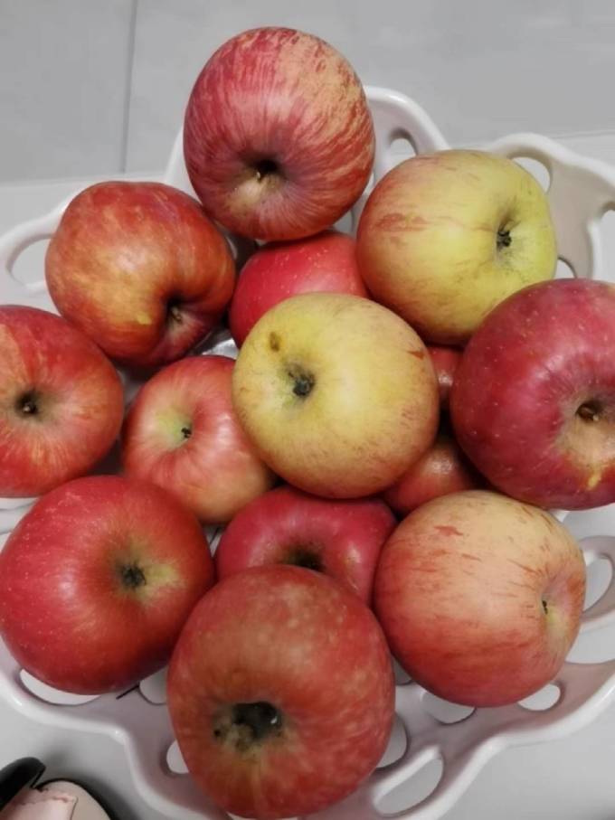 个头饱满又大又圆的超好吃苹果