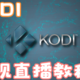 超级详细 步步有图 通过KODI 观看IPTV电视直播 手把手教程