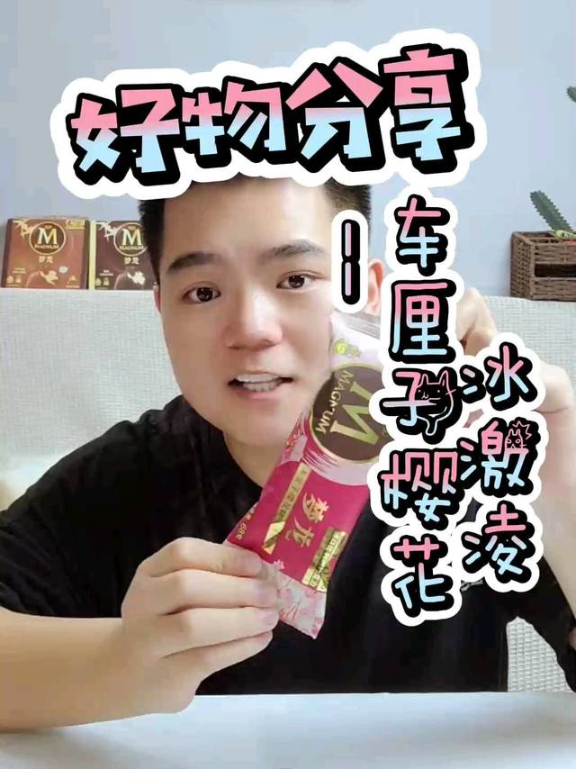 梦龙家的新口味冰激凌，酸酸甜甜贼好吃！