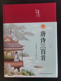 读唐诗品大唐