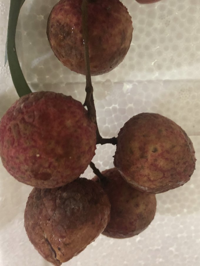 新鲜水果怎么样 广西白糖荔枝,个头大且脆且甜,荔枝优品_什么值得买