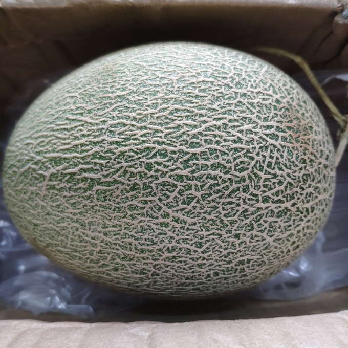 新鲜水果