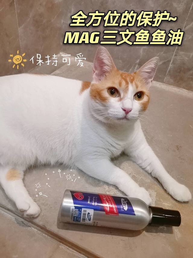 MAG三文鱼鱼油💁🏻‍全方位的保护~