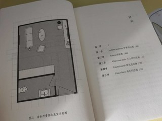 关于双胞胎死亡的推理故事