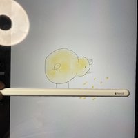 买了iPad pro，怎样也得搭支Apple pencil，所以我买了