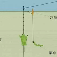 路亚竿浮钓草鱼，除了线组和钓位，这一点才是提升渔获的关键