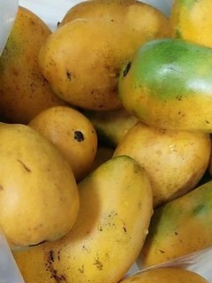 芒果真的是超级好吃的神仙水果