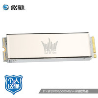影驰（Galaxy）1TBSSD固态硬盘M.2接口(NVMe协议)PCIe4.0名人堂HOFEXTREME系列