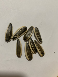 大颗粒，高品质-洽洽葵珍金罐葵花籽