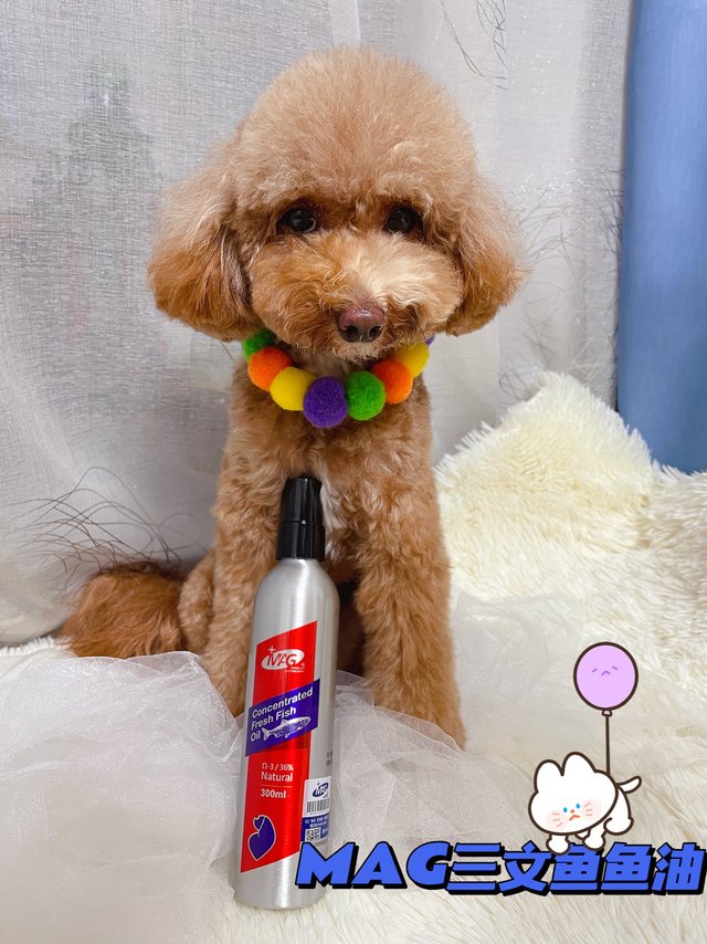 欣怡の美毛小办法//MAG三文鱼鱼油