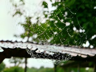 适合懒人的入门徕卡相机