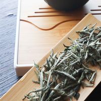 “白茶种类大公开”你要的白茶种类与知识点都在这