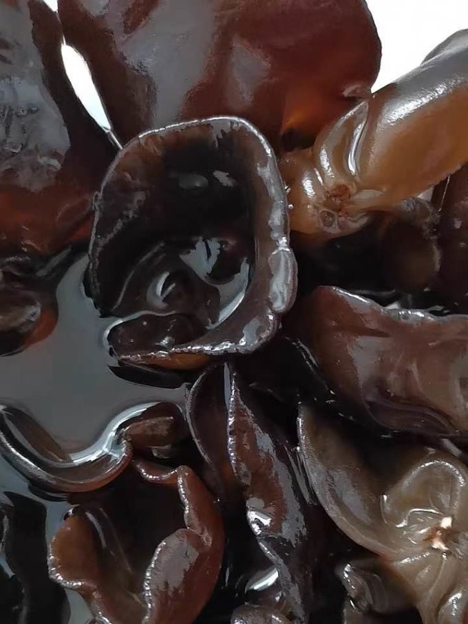 古松食品菌菇木耳