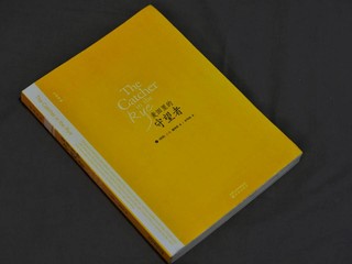 年少时没有看这本书，或许也是一种幸运