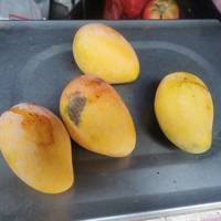 这个芒果虽然小，但是很香很甜，芒果味十足