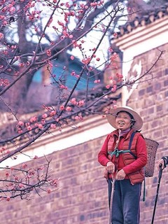 四个春天-即使跨越山海，勿忘回家