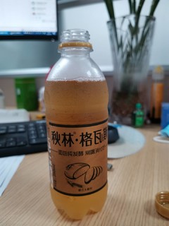 格瓦斯，我的可乐替代品