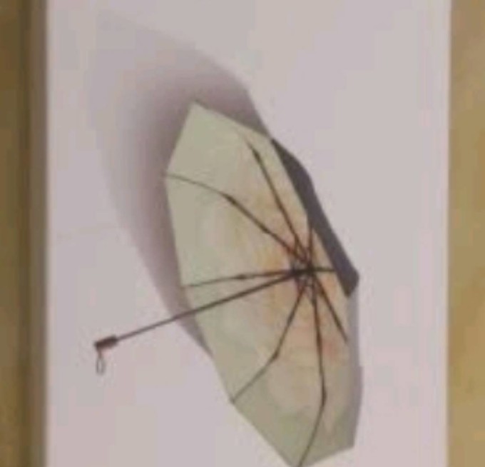 蕉下雨伞