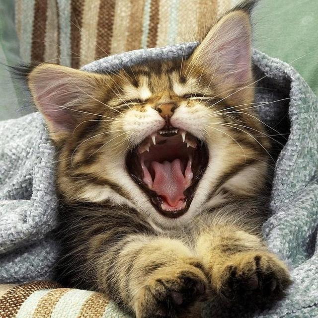 一文教你如何玩转京东“换购”