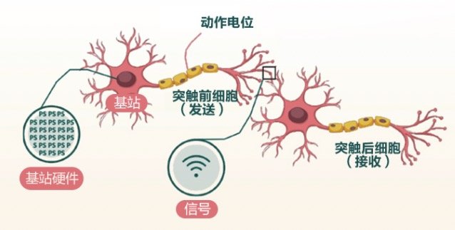 新品资讯：旭福新品再升级——脑动力Plus胶囊为生活添动力