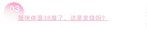 关于猫的10个常识，哪些进了你的知识误区，第10个你想到了吗？