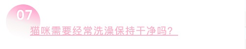 关于猫的10个常识，哪些进了你的知识误区，第10个你想到了吗？