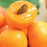 风物推荐7.9｜这么好吃的伊犁吊干杏，竟然只有不到一个月赏味期