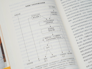 换个角度看人类发展的历史