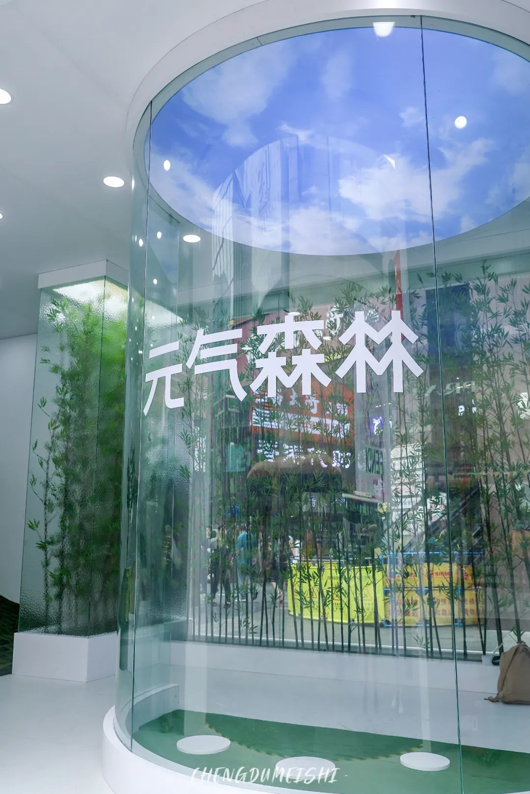 元气森林求求你别来抢奶茶店的生意了