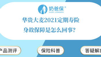 华贵大麦2021定期寿险身故保障是怎么回事？热门定期寿险哪些比较好？