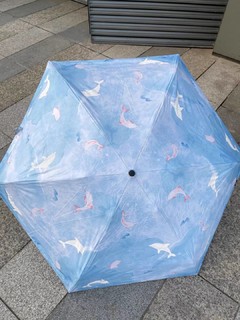 雨伞 