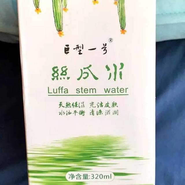 巨型一号丝瓜水