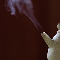 涨知识啦｜喝茶对茶具有什么讲究？