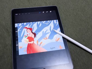 支持pencil中最便宜的-iPad 2