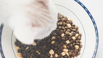 生活家居 篇十二：国产猫粮测评：挑嘴软便猫如何换粮？三只小宠猫粮体验