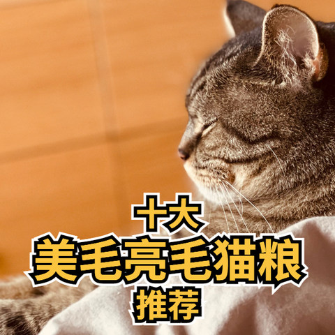 十大美毛猫粮推荐， 美毛猫粮要怎么选？  美毛元素是来自纯天然主料，  还是后续添加的单项辅料