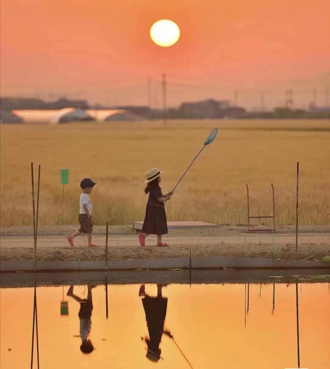 每日好店：火爆全网绝美氛围灯，“夕阳自由”不是梦！