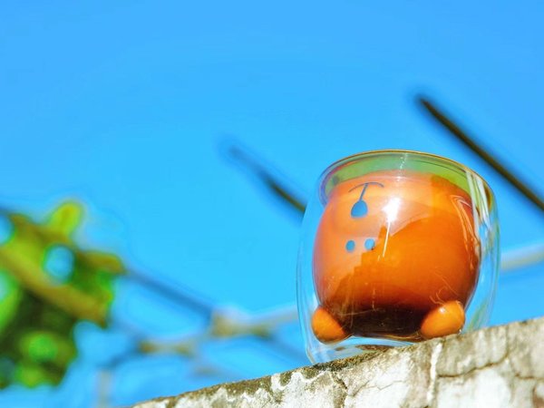 吃灰很久但是其实挺好看的小熊杯