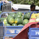 夏天买西瓜，记住南方的3个品种，北方的3个品种，不用挑都是好瓜