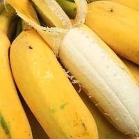 风物推荐7.31｜外表“丑陋”内心甜美的香蕉，来自广西玉林