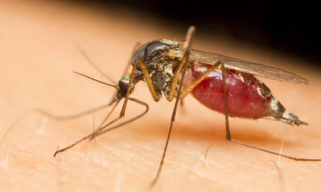 居家研究所｜狠人请进！9种驱蚊产品真人实拍测评，现场扼杀蚊子凶残暴行！