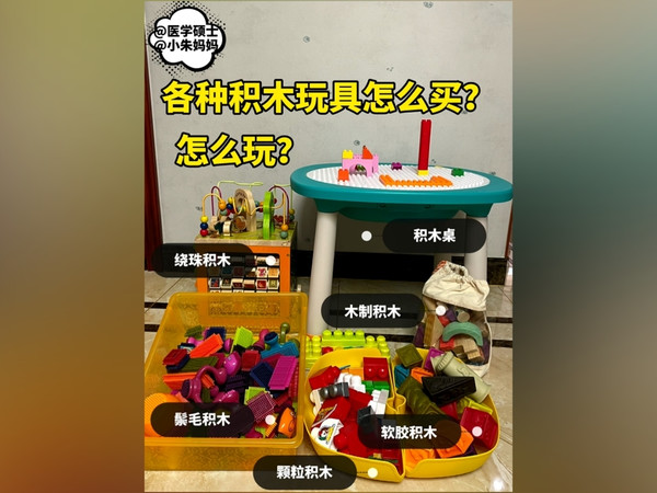 多种类积木怎么选?怎么玩?