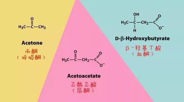 周知一词：狂吃黄油五花肉还能减肥？「生酮饮食」靠谱么 