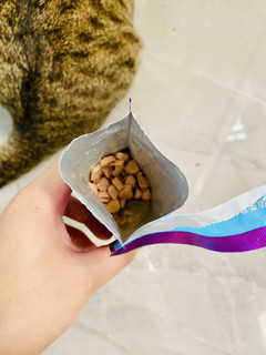 猫咪爱吃的零食，伟嘉妙鲜包