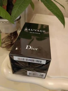 Dior迪奥旷野男士香水