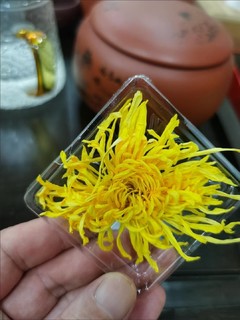 菊花茶