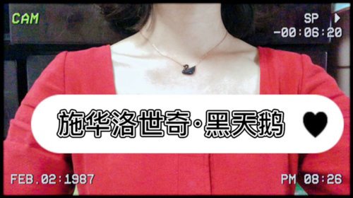 七夕送神马？施华洛世奇黑天鹅❤️爱的化身